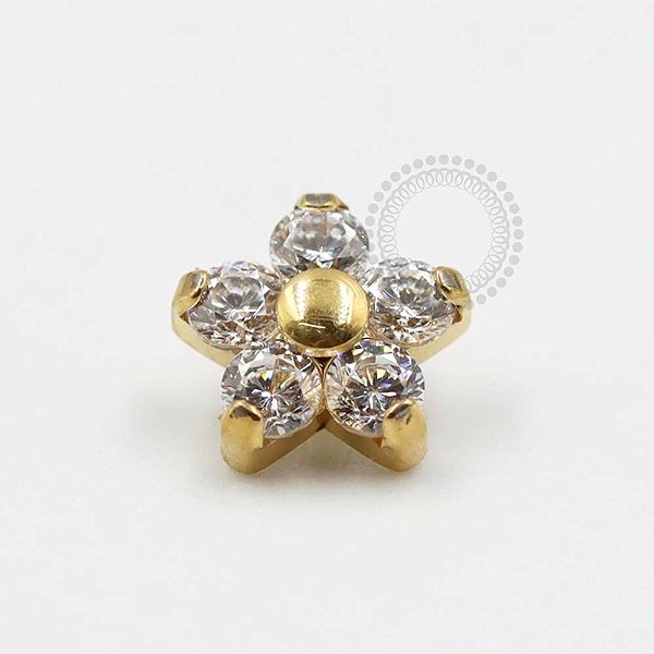 TN318 Topo Flor CZ Miolo Titanio PVD Gold