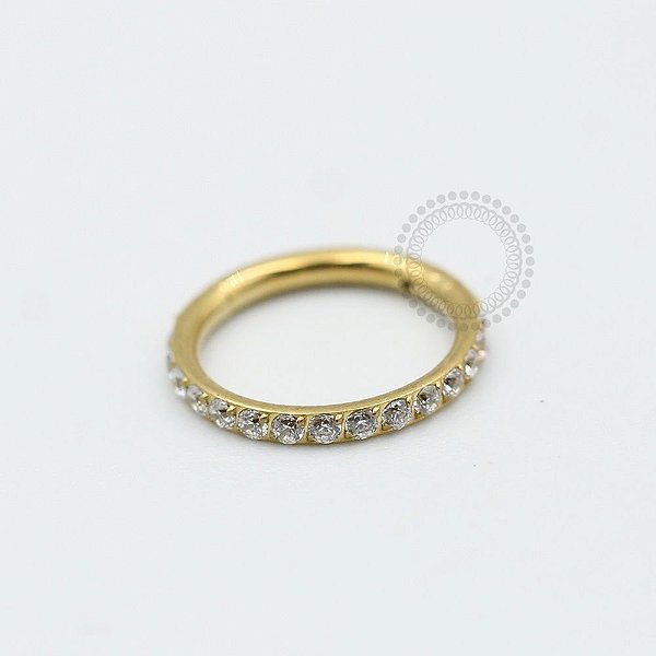 TN336 Segmento Cravejado Titânio PVD Gold