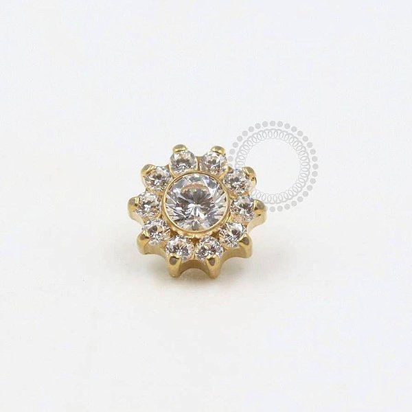 TN292 Topo Mini Flor 10 Pétalas CZ Titânio PVD Gold