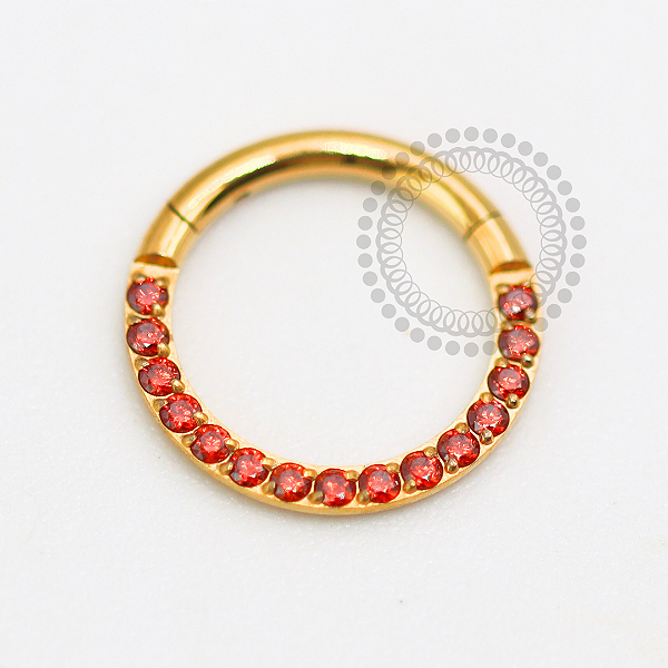 TN1616 Segmento Frontal Cravejado CZ Garnet Titânio PVD Gold