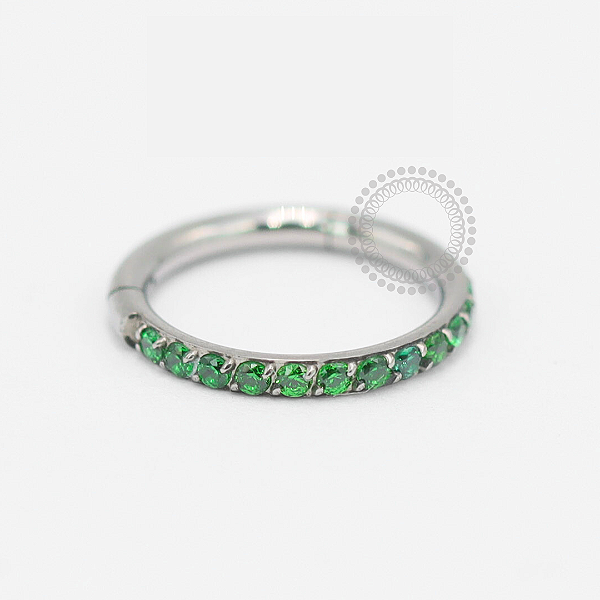 TN1859 Segmento Cravejado Esmeralda Titânio ASTM F136