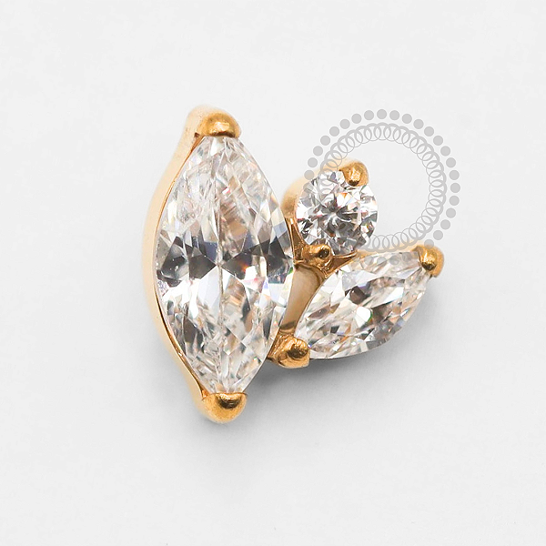 TN1889 Topo 2 Pétalas e 1 Ponto De Luz Titânio PVD Gold