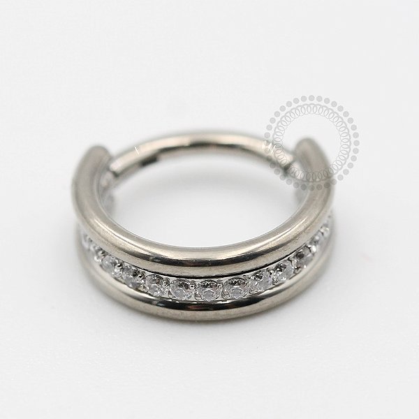 TN67 Segmento Cravejado Interno 2 Linhas Titânio ASTM F136 (OUTLET)