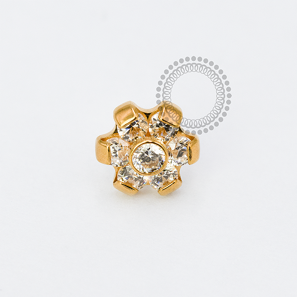 TN1920 Topo Flor Miolo CZ Push Pin Titânio PVD Gold
