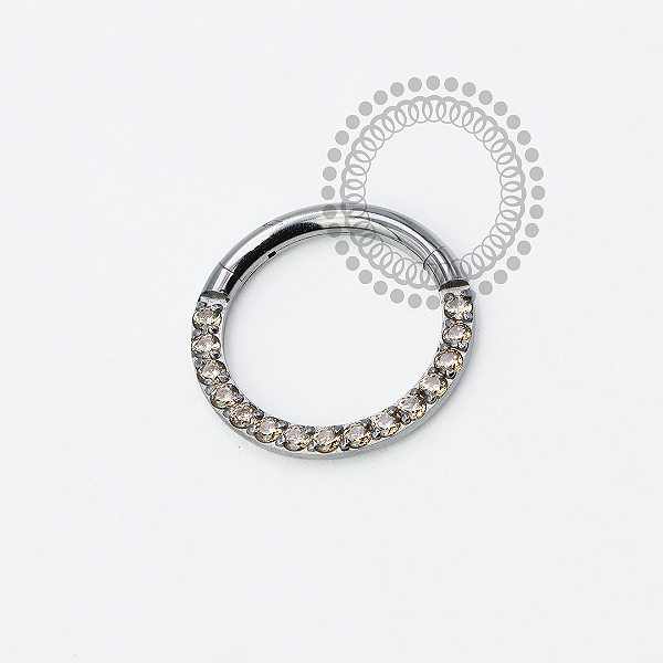 TN1945 Segmento Frontal CZ Champanhe Titanio ASTM F136