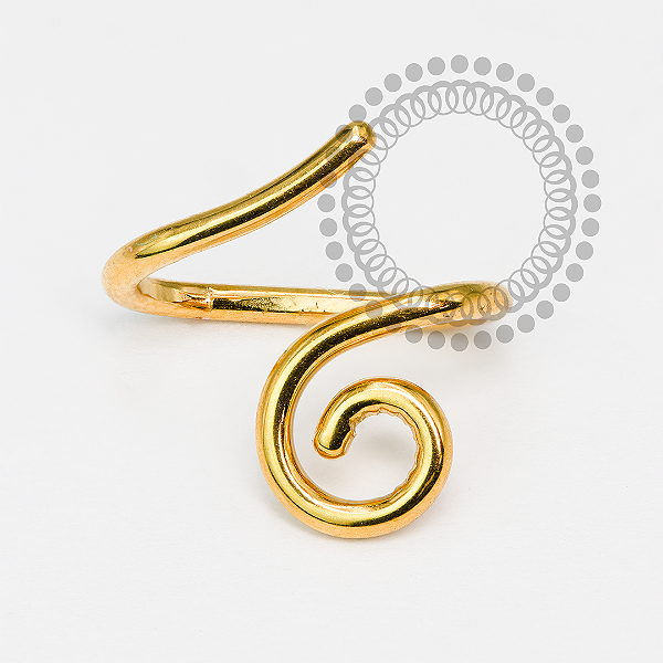 TN2073 Segmento Espiral Bridge Titânio PVD Gold
