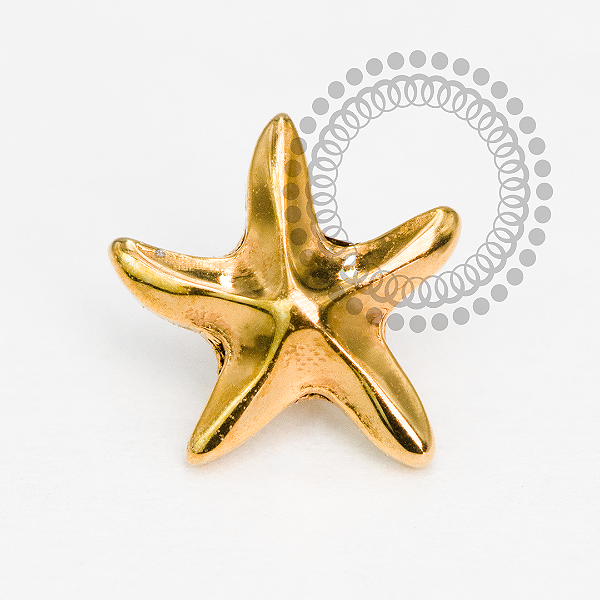 TN2098 Estrela Do Mar Lisa Titânio PVD Gold