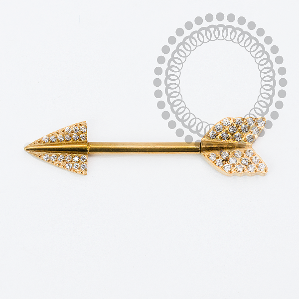 TN2151 Nipple Flecha CZ  Push Pin  Titânio PVD Gold