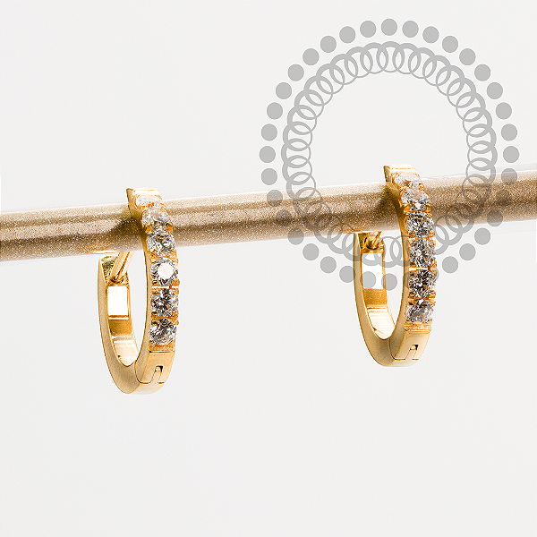 TN2166 Brinco Argola CZ Haste Reta 10mm Titânio PVD Gold