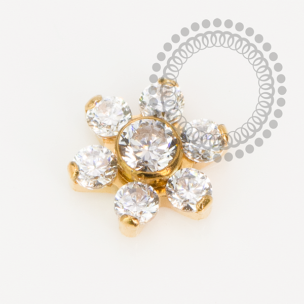 TN2213 Topo Micro Flor CZ  Titânio PVD Gold