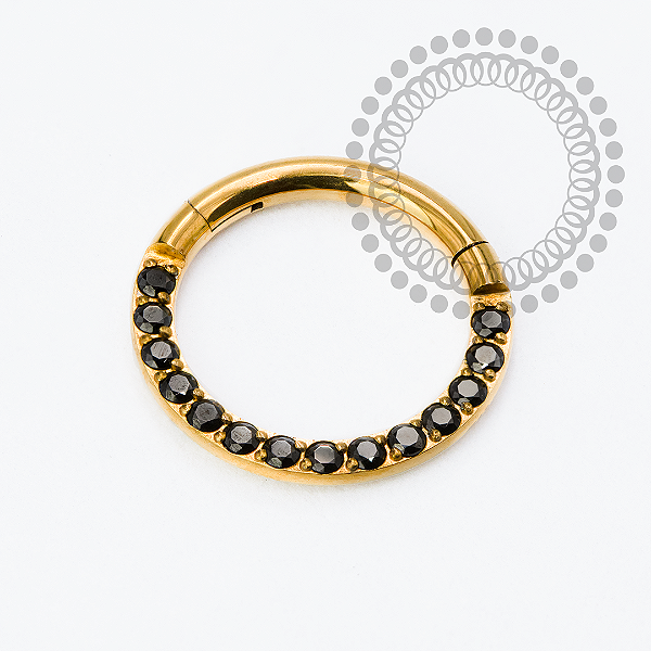 TN2333 Segmento Frontal CZ Black Titânio PVD Gold