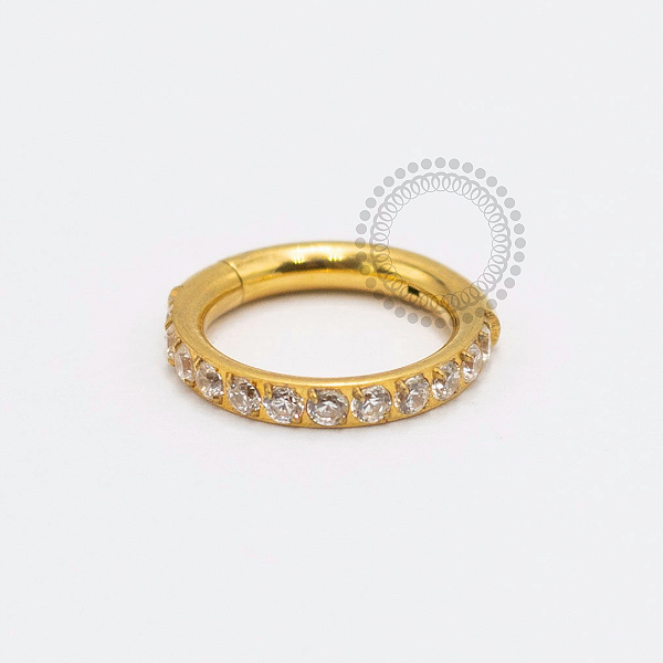 TN2376 Segmento Cravejado 1.6mm Titânio PVD Gold