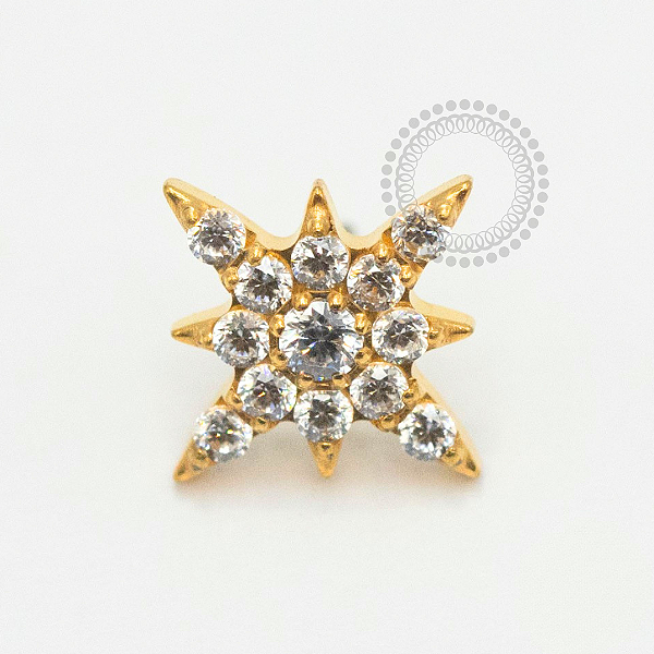 TN2400 Topo Estrela Dalva CZ Push Pin Titânio PVD Gold
