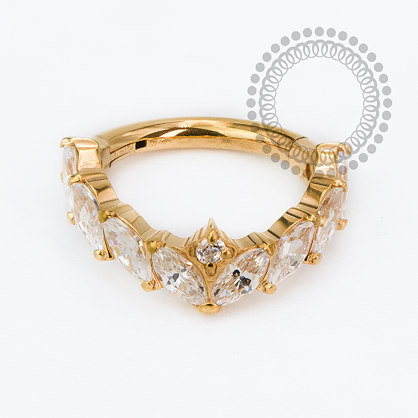 TN2424 Segmento Coroa CZ Navetes Titânio PVD Gold