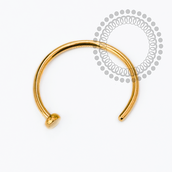 TN2427 Open Ring Titânio PVD Gold