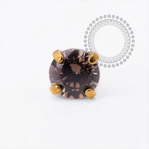 TN2526 Topo CZ Dark Coffee  Push Pin Titanio PVD Gold