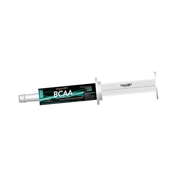 Bcaa 60 Gr