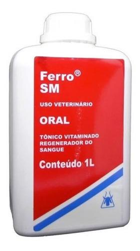 Ferro Sm Oral 1000 Ml