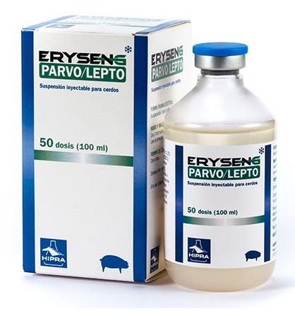 Vacina Eryseng Parvo Lepto Br 10 Ds 8-Hipra