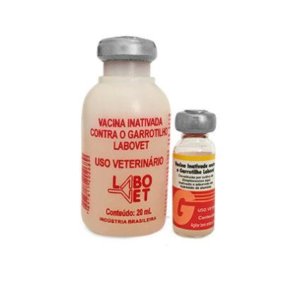 Vacina Garrotilho 20ml 10ds Labovet
