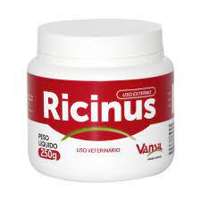 Ricinus Assept Pasta 250 G Vansil