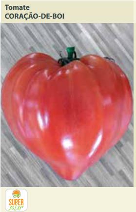 Semente Tomate Coracao de Boi 0,6g (michelangelo)