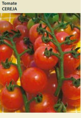 Semente Tomate Cereja 0,6g