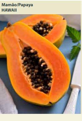Semente Mamao Papaya Hawaii 0,6g