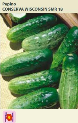 Semente Pepino Cons W Smr 18 4,3g