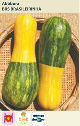 Semente Abobora Brasileirinha 2,4g