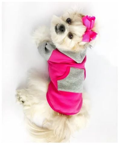 Roupa Feminina Pp - Bicho Com Luxo