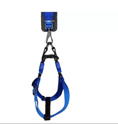 Peitoral Guia Austra Neon P - Bicho Com Luxo