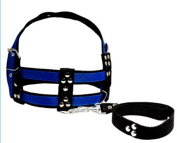 Guia e Peitoral Deg Grande Porte m