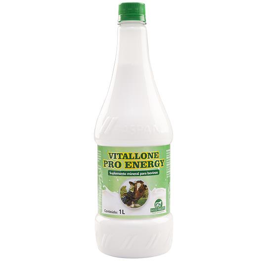 Vitallone Pro Energy 1 L