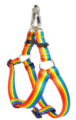 Peitoral Malu Pet Arco-Iris Grde 25mm