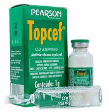 Topcef 1 G Inj 20 Ml