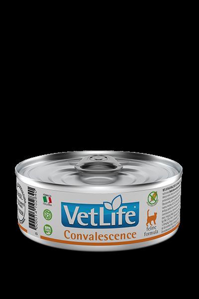 Pate Vet Life Feline Wet Convalescence 85g