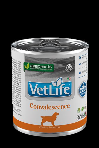 Pate Vet Nat Canine Wet Convalescence 300g