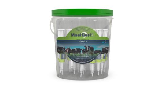 Mast Best L 50sr