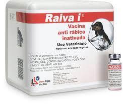 Vacina Antirabica Raiva I Lema