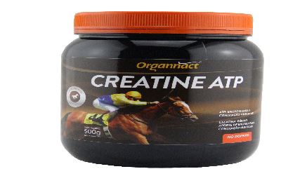 Creatine Atp 500gr