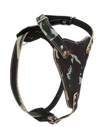 Peitoral Pit-Bull Camuflada