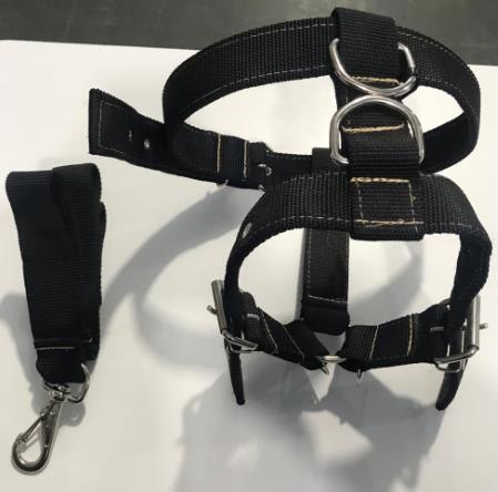 Peitoral Guia H Brutos P - Bicho Com Luxo
