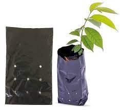 Saco Mudas Plast.Pto 10x20cm