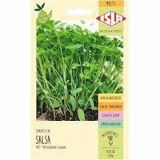 Semente Salsa Lisa Microverdes 2g