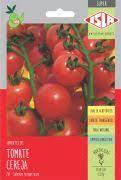 Semente Tomate Cereja Hibrido 2g