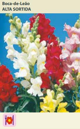Semente Antirrhinum/boca Leao A. Sor 0,3g