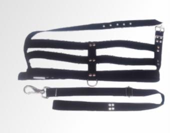 Conj. Guia/ Peitoral Nylon Grande Porte N8