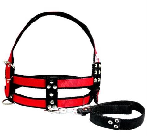Guia Peitoral Reforcado Grande Porte m - Forpets