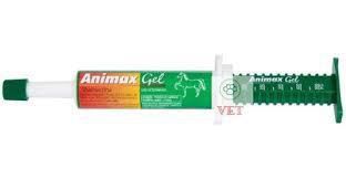 Animax Gel 10g